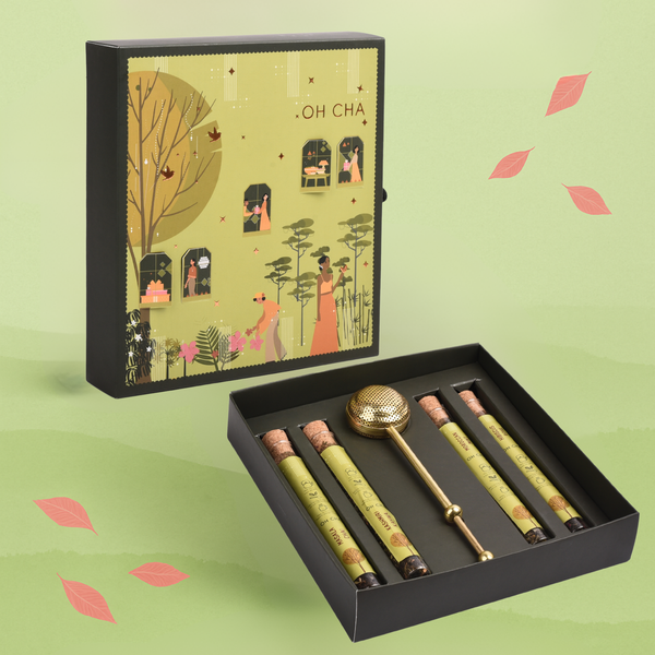 The Revelation Box